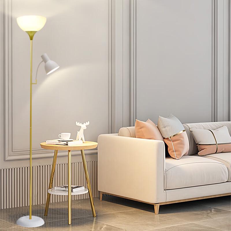 Modern Minimalist Double-Head Floor Lamp with Reading Light