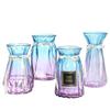 Nordic Transparent Glass Vase for Hydroponic or Dried Flowers – Ideal for Living Room Decor.