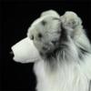 Border Collie Hohe Treue Anime Niedlicher Plüschtier Schäferhund Plüschtiere Lebensechte Tiere Simulation Stofftier Kawaii Spielzeug Geschenke