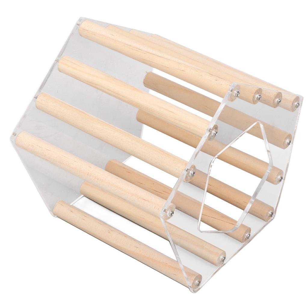 Minimalist Pentagonal Hamster Wooden House Ventilated Transparent Hamster Cabin for Hamster Golden Br