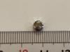SEIKO Crown with W 1 Dead Mechanical Stainless Silver Mark, Piece, New, Stock, Watch, Steel