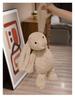 Lop-Eared Rabbit Plush Toy Doll – Children's Comfort and Birthday Gift