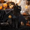 Pet Costume with Sequined Pumpkin Design for Small Dogs and Cats