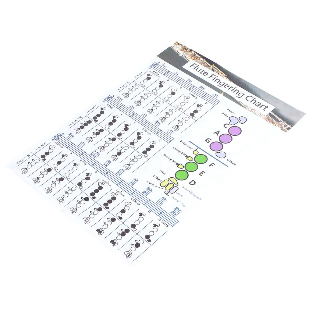 Diagramma Accordi Dita Flauto Studente Principiante Ausili Didattici per la Pratica Accessori Strumento