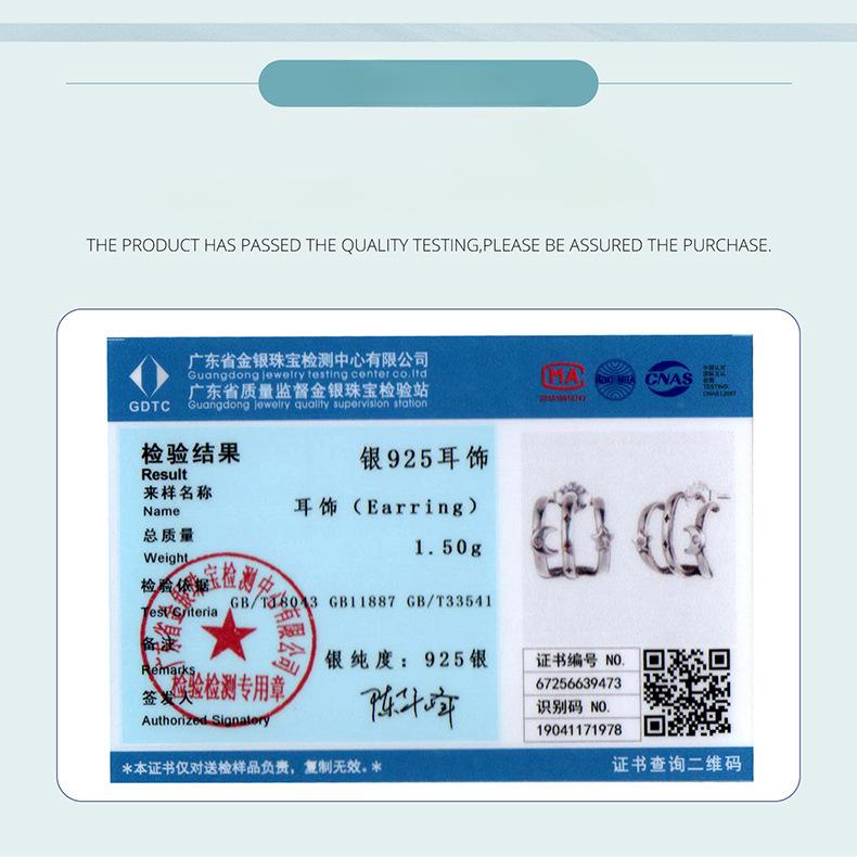 Star And Moon Multi-Circle Stud Earrings, Personalized Trend S925 Sterling Silver Niche Star And Moon Stud Earrings