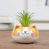 Table Decor Ornament Flower Planter Garden Supplies Bonsai Accessories Flowerpot Succulent Potted