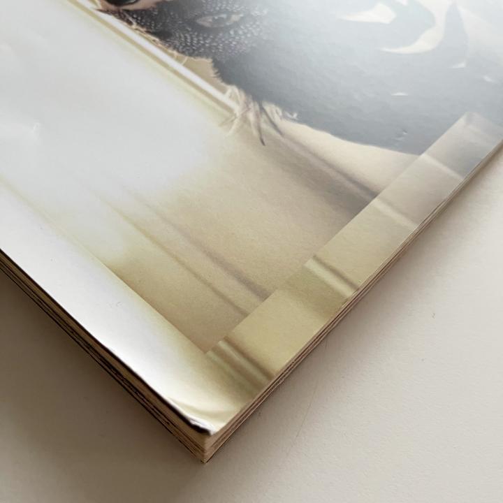[USED] Wonderland