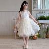 Girls' Dress 2026 New Style Princess Style, Big Children's Mesh Cake Skirt, Summer Fluffy Vest Skirt