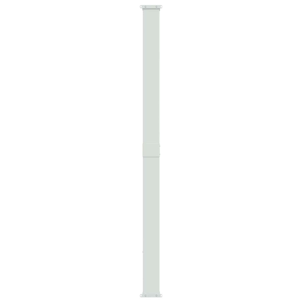Side Awning Retractable 220 x 300 cm Grey