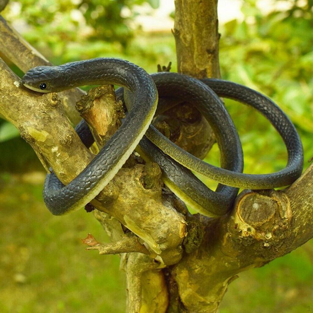 120cm Simulation Rubber Plaything Garden Props Halloween