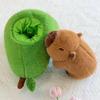 Celebrità di Internet avocado kapi doll creativa bambola barra bambola capibara peluche giocattolo carino regalo di compleanno