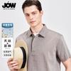 Light Luxury Vintage Style Summer Lightweight Breathable Men's Polo Shirt with Collar and Short Sleeves