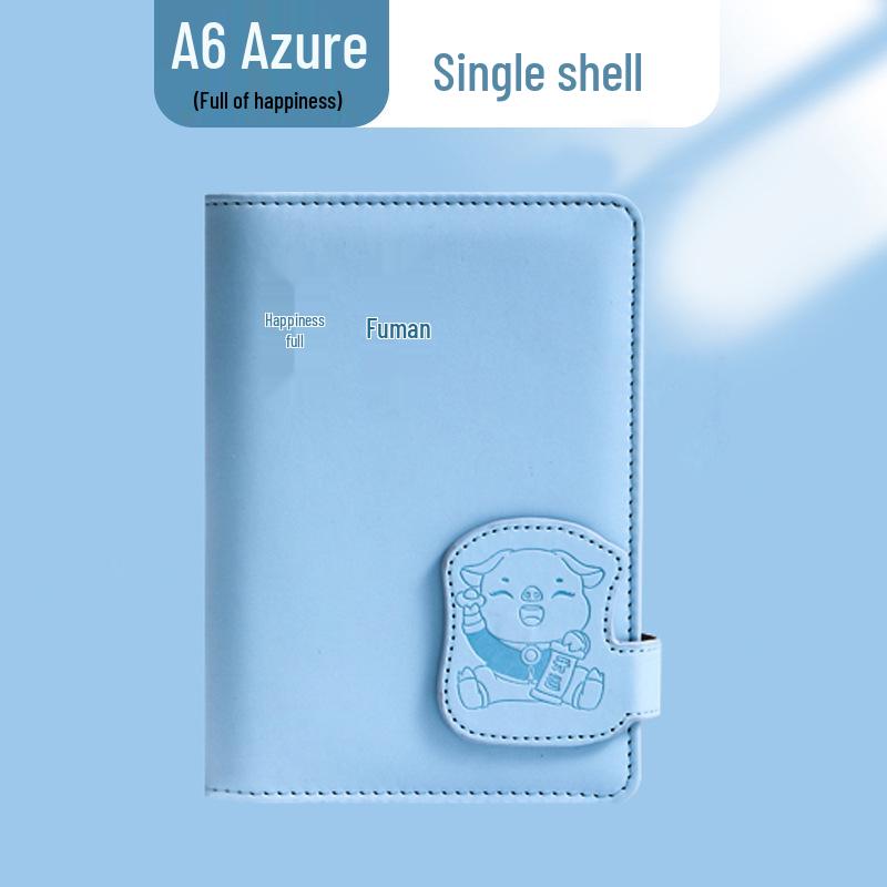 A6 Family & Student Financial Planner: Income & Expenditure Notebook, Loose-Leaf Ledger, Receipt Holder, Money Storage Album