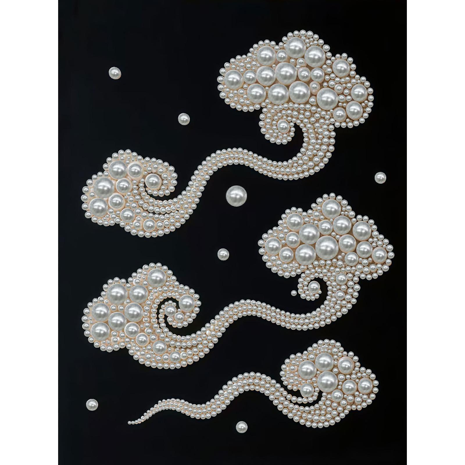 

DIY Pearl Gem Paintings Picture Arts Craft for Adults/Beginners Gift Home Decor 30x40cm With Frame