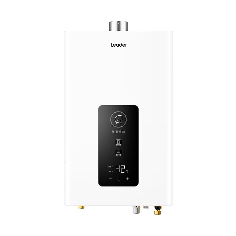 Haier Leader Instant Gas Water Heater CN plug (adapter included)