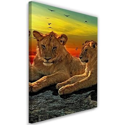 Canvas Print Lions Africa Animals