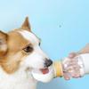 Portable Dog Water Cup Leak Proof Pet Travel Bottle Folding Dog Bowl Outdoor Dog Feeder Pet Accessories
