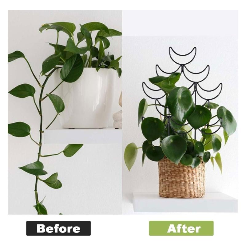 Metal Garden Stake Trellis for Potted Plant Garden Trellis for Climbing Plant Stackable Plant Trellis Indoor Outdoor