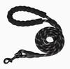 Multi-Color Nylon Pet Leash for Dogs and Cats, Walking and Training Leash