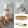 Dog Collar Lovely Pumpkin Leash for Large Medium Dogs Harnesses Strong Harvest Theme Leash Long Belt Halloween Theme  XS