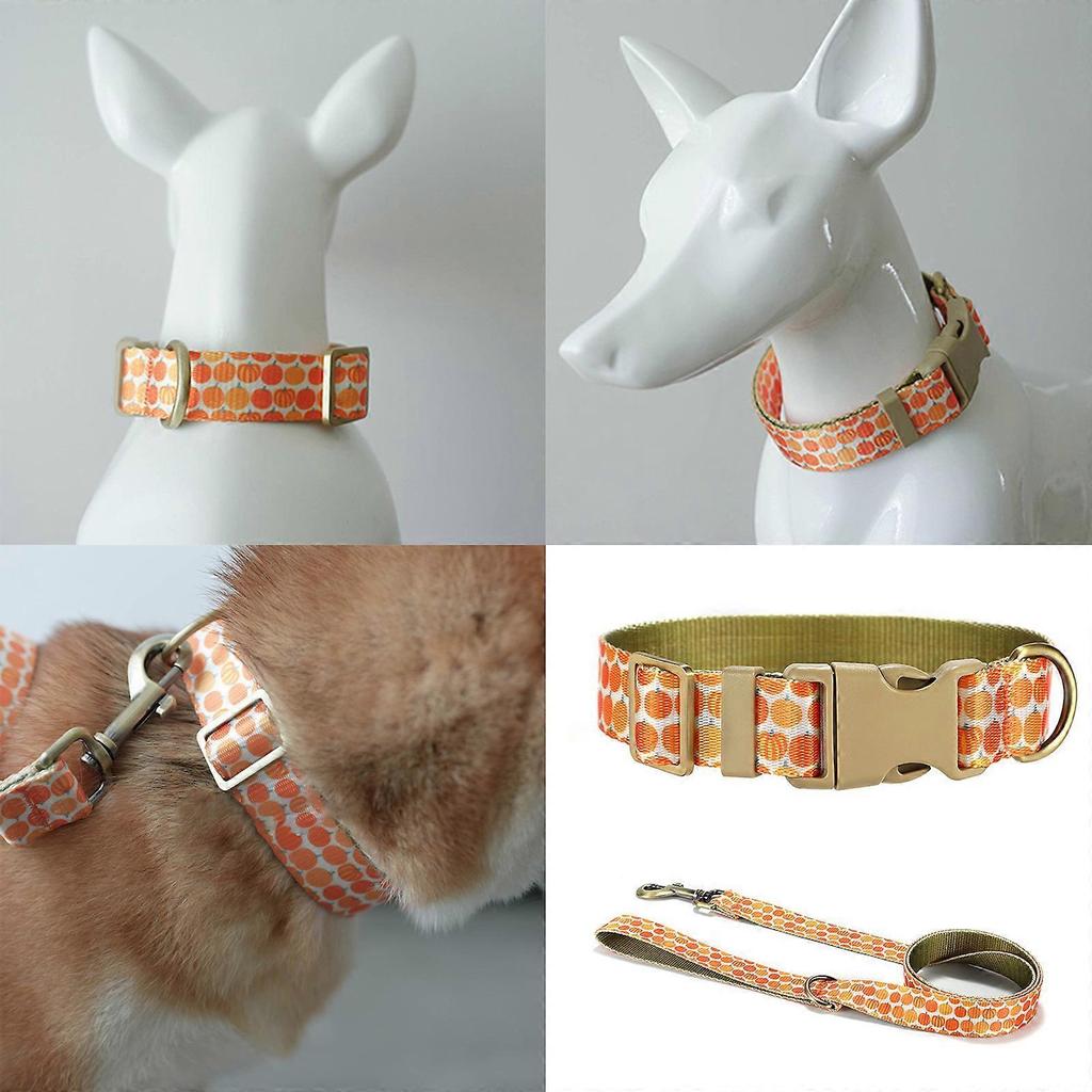 Dog Collar Lovely Pumpkin Leash for Large Medium Dogs Harnesses Strong Harvest Theme Leash Long Belt Halloween Theme XS