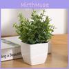 Greenery Eucalyptus Faux Potted Plant For Indoor Living Styling Room
