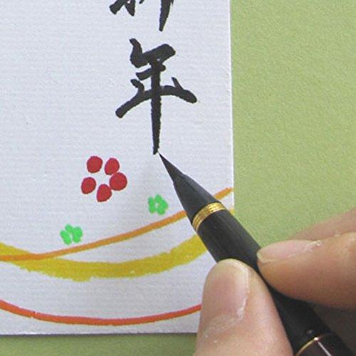 Kuretake Fountain Brush Pen, Maki-e Monogatari (Story of Maki-e) Weeping Cherry Blossom, Black, Black Barrel, DU184-115