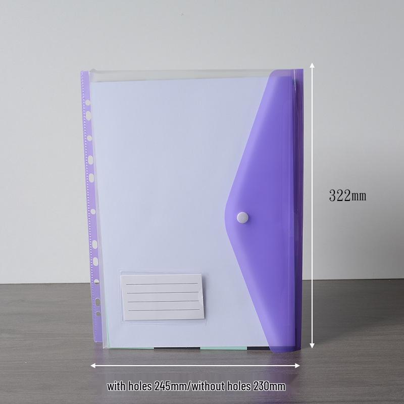 A4 11-Hole Vertical Loose-Leaf Document Bag with Colored Labels