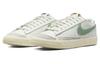 Nike Blazer 77 Low Premium Certified Fresh DO9799-100