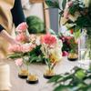 8Pcs Round Flower Frog Holder Ikebana Kenzan Flower Art Fixed Arranging Tool Home Decor Living Room Floral Insert Arrangement