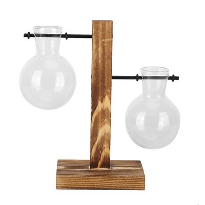 Innovative Planter Vase with Wooden Stand Transparent Glass Hydroponics Vase Desktop DecorationType