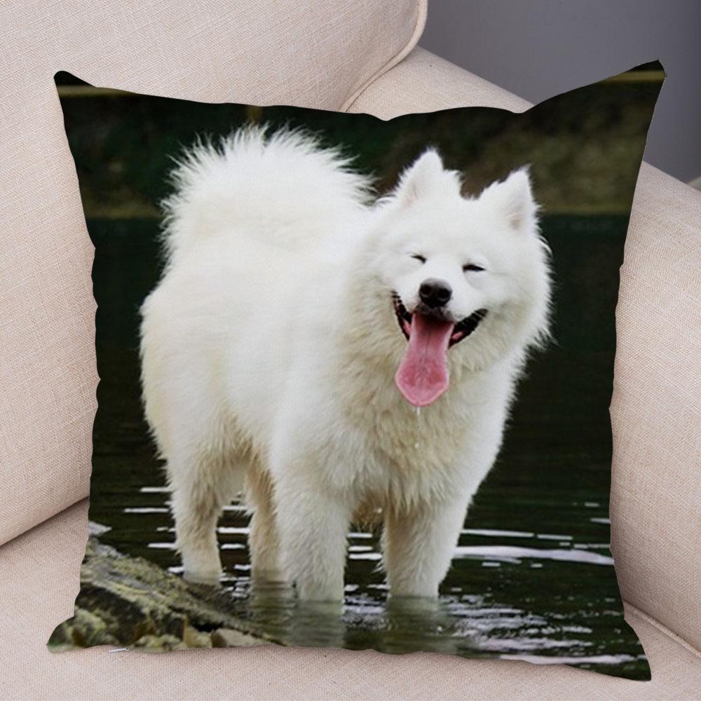 50 Stil Husă de Pernă Câine Alb Drăguț Samoyed Decor Husă de Pernă Animal de Companie Iubitor Husă de Pernă Moale de Pluș pentru Canapé Cameră Copii