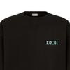 DIOR FW22 Sweatshirt Men's Black 293J674H0531-C986