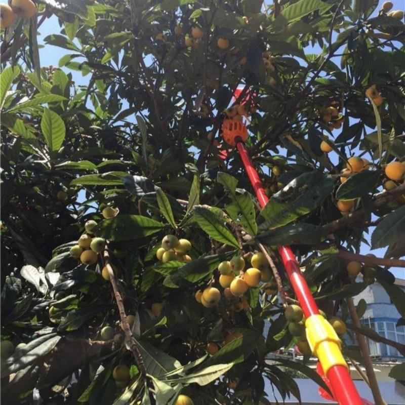 Fruit Picking Tool Greenhouse Plastic Fruit Picker Catcher Farm Garden Picking Device Garden Greenhouses Tool Without Handle