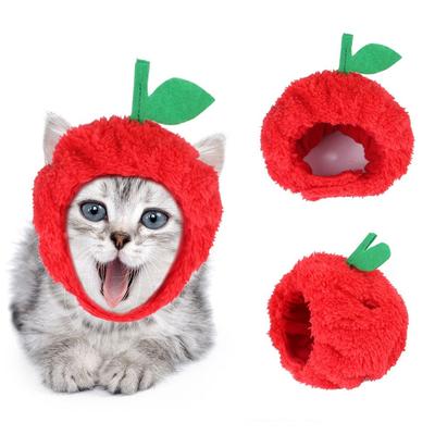 Gatos – Roupa para gatos