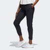 Adidas Astro Pant Woven Long Pants Women Bottoms Black DW5955