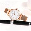 Milan Mesh Magnetic Ladies Watch with Luminous Hands