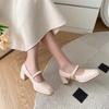 Fashion 2025 New Style Spring Autumn Vintage Dress High Heels Women's Shoes Fashion Style Mary Jane Shoes Rubber Sole