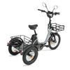 Cysum AG1 Pro Electric Tricycle For Adult 750W Motor 48V 20AH Battery F 20×2.1 / R 16×3.0 KENDA Tire Electric Tricycle