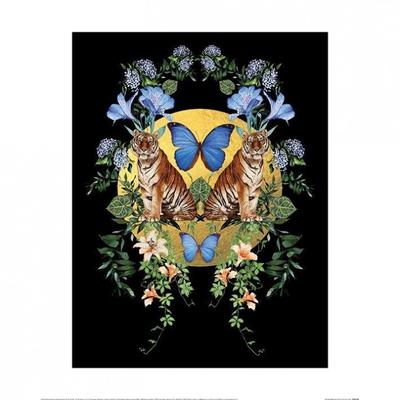 Namų dekoras – Paveikslai ir plakatai