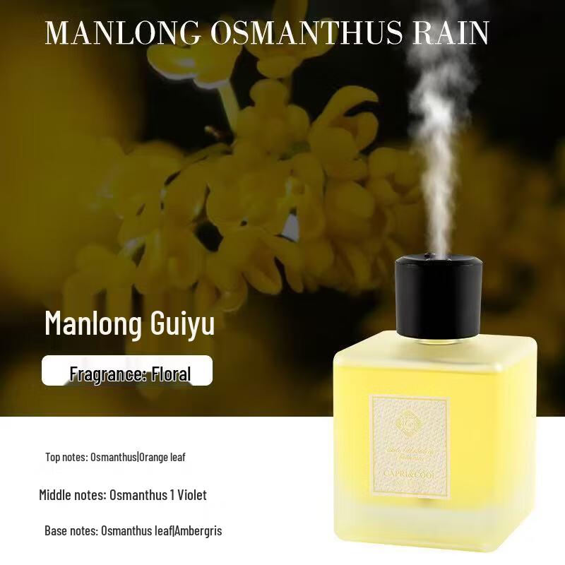 Automatic Spray Aroma Diffuser