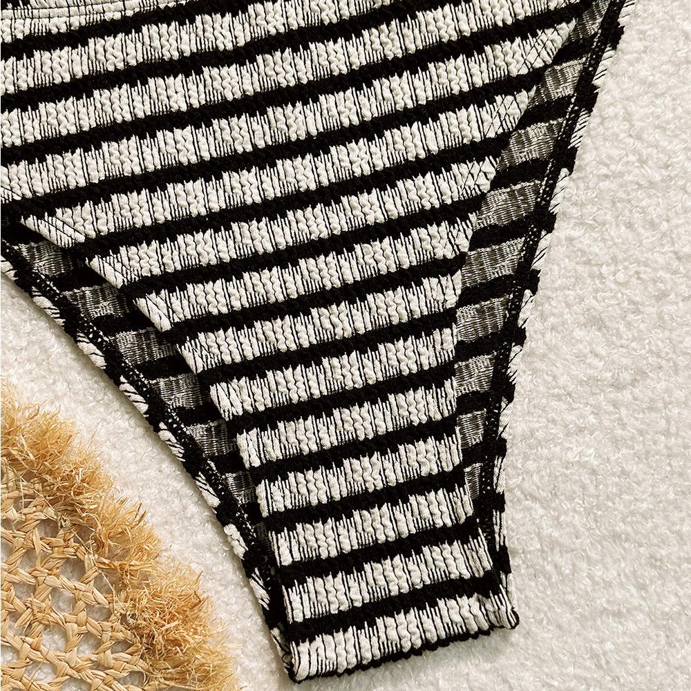 Striped Print Bikini Swimsuit: Sexy Women's Beach Vacation Wear
