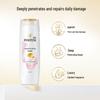 Pantene PRO-V Color & Perm Repair Shampoo Set
