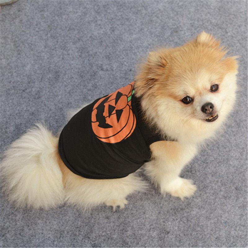 T-shirt Costume pour Chien avec Motif Citrouille d'Halloween pour Chiens de Petite à Grande Taille