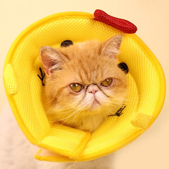 Katzenkegelhalsband Bequem Verhindert Beißen Lecken Verstellbar Atmungsaktiv Katzenhalsband für