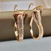 Stylish Vintage Women Carved Snake Dangle Pendant Dangle Hook Earrings Jewelry Jewelry Gift