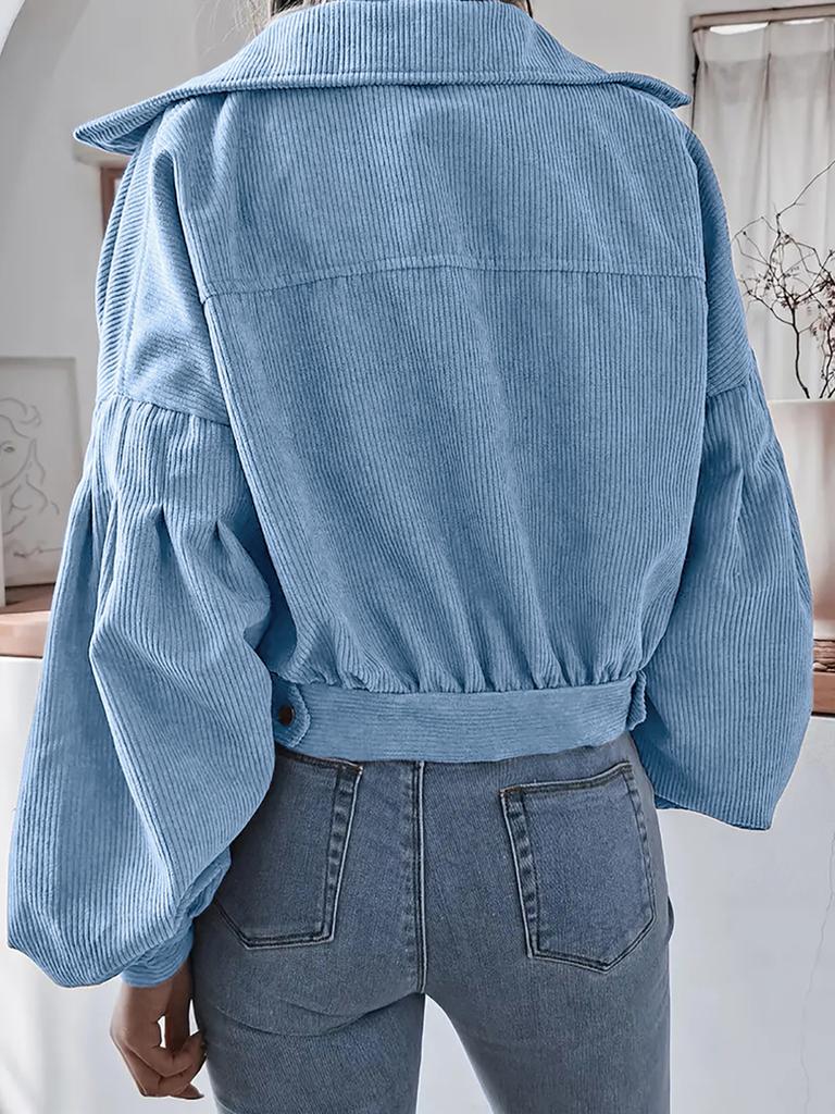 Ins Style Autumn Velvet Long Sleeve Cardigan Jacket for Women