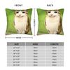 Funny Smiling Meowl Cat (2) Pillow Case Morden Pillow Cover Design Pillowcases For Sofa Bedroom Home Decor