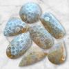 Designer Polished Natural Fossil Coral Cabochon, Loose Cabochon Lot, Mix Lot, Healing Gemstone Lot For Jewelry Making.