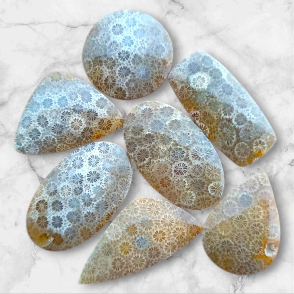 Designer Polished Natural Fossil Coral Cabochon, Loose Cabochon Lot, Mix Lot, Healing Gemstone Lot For Jewelry Making.